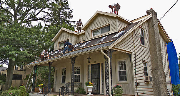 Best Roof Repair Services  in Garrison, TX